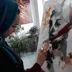 آموزشگاه هنرهای تجسمی لوح و قلم