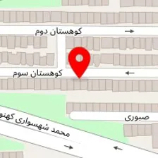 سالن خدمات ناخن دیانا