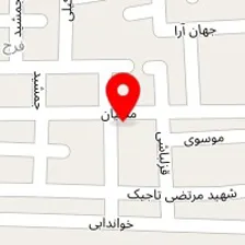 قالیشویی آبنوس