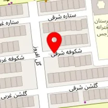 قالیشویی سران