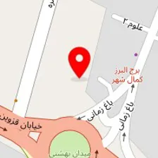 قالیشویی مجید