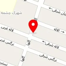 قالیشویى میثاق