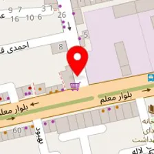 دکتر جلیل میر حسینی نیا