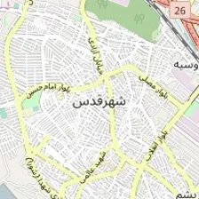 دکتر فرشته فروتن