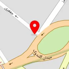 دکتر محمد دانش نژاد