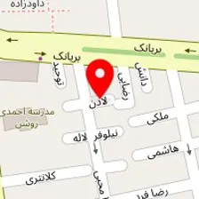 دکتر سیاوش حجتی