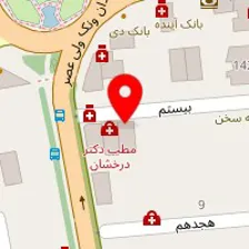 دکتر بهزاد امیر گودرزی