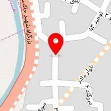 تتو حرفه ای بدن فقط بانوان