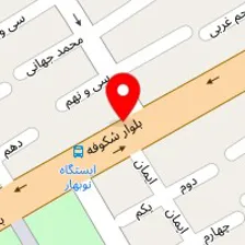 شیر محمدی