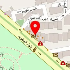 شوی دائمی لباس نگار