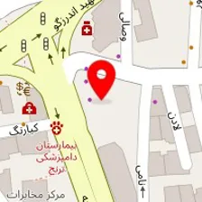 آمیتیست
