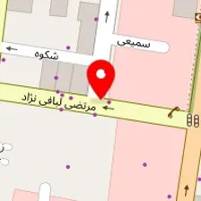 مزون هستی
