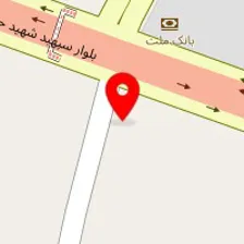 دامپزشکی دکتر فرح پور