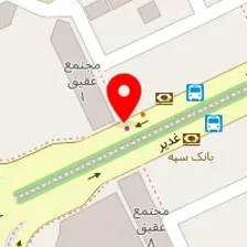 ترجمه و ویرایش تخصصی رایت می