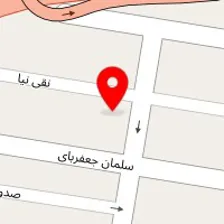 دکتر فریبا بشر دوست