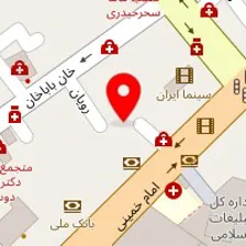 دکتر جواد موسوی واعظی