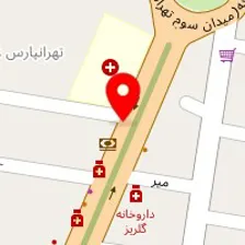 دکتر انوشه اسدی