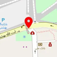 دکتر مونا نوروزی