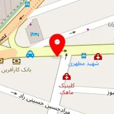 دکتر محمود نیشابوری