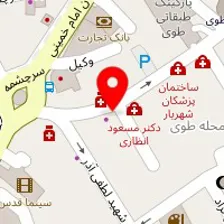 دکتر مهدی عطایی
