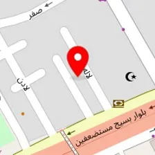 دکتر پرویز ویژه