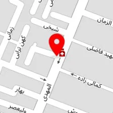 دکتر لیلا حشمی