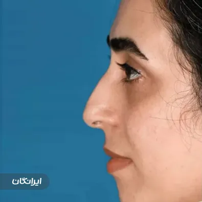 دکتر علی شعبانی