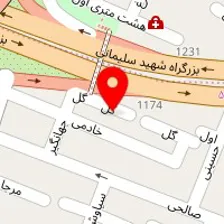 دکتر ناصر ایرانی