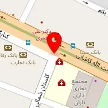 دکتر عبدالعلی تقوا