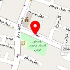 دکتر آلا امام زاده