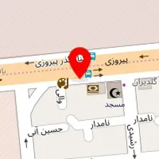 دکتر مهری نیک بین