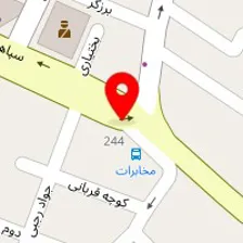 دکتر شهناز احمدی