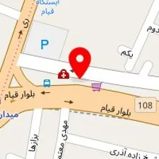 دکتر فروغ امیری نژاد