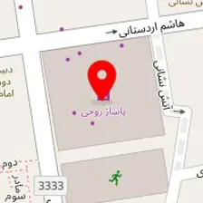 زبرا دوستی