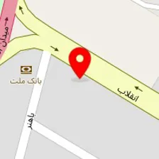 نگین سنگ سالمی