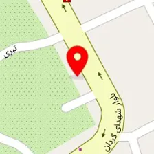 رنگ و ابزار نرگسی