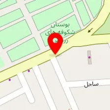 بالانس طلایی فرمول یک