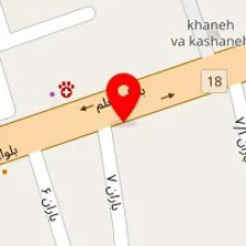باطریسازی یاسر