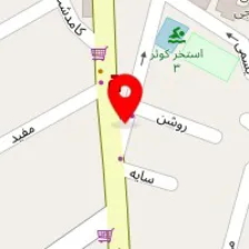 اتو سرویس محسنیان