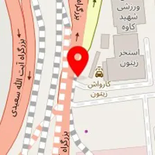 صافکاری نقاشی و مکانیکی زیتون