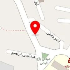 دکوراسیون داخلی گل نیک