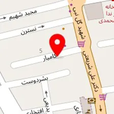 الکتریکی کامیار