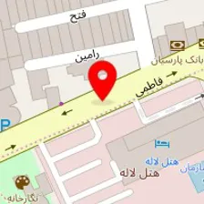 شایان گستر