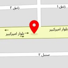 تامی پت