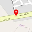 پت شاپ پالس