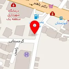 دامپزشکی راینو