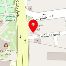 پیتزا پارتی
