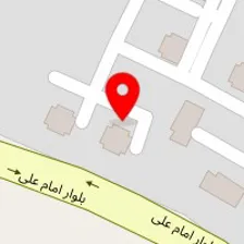 پیتزا بیرونبر بینگو