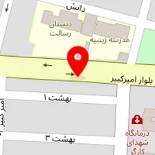 پیتزا ساندویج علی