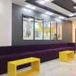 ارتودنتیست مرتضی عشاق